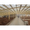 遼寧鋼結(jié)構(gòu)制作企業(yè)/福鑫騰達彩鋼/施工鋼結(jié)構(gòu)玻璃頂