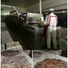 微波瓜子烘烤熟化設備,堅果炒貨烘烤設備